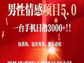 男性情感变现暴力项目,一台手机单号最高日收益3000+,当天变现
