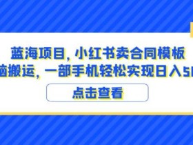 蓝海项目小红书卖合同模板无脑搬运一部手机日入500+(教程+4000份模板)【揭秘】