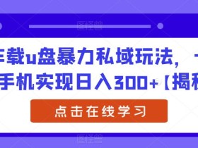 车载u盘暴力私域玩法,一部手机实现日入300+【揭秘】