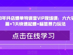 2023年抖店爆单特训营VIP现场课:六大实战篇+7天快速起爆+标签暴力玩法