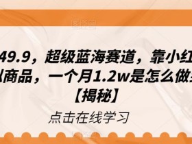 一单赚49.9,超级蓝海赛道,靠小红书卖这个虚拟商品,一个月1.2w是怎么做到的?【揭秘】