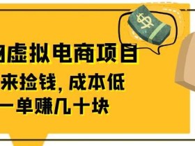 东哲日记:全网首创实物虚拟电商项目,速来捡钱,成本低,一单赚几十块!