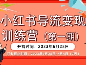 【推荐】小红书导流变现营,公域导私域,适用多数平台,一线实操实战团队总结,真正实战,全是细节!