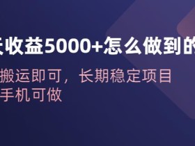 一天收益5000+怎么做到的?无脑搬运即可,长期稳定项目,一部手机可做【揭秘】