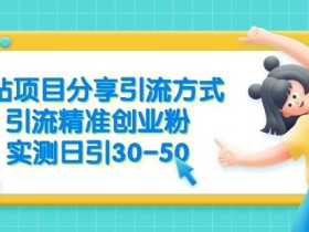 B站项目分享引流方式,引流精准创业粉,实测日引30-50【揭秘】