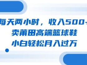 每天两小时,收入500+,卖莆田高端篮球鞋,小白轻松月入过万(教程+素材)【揭秘】