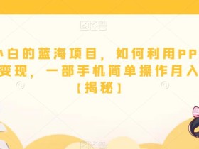适合小白的蓝海项目,如何利用PPT模板轻松变现,一部手机简单操作月入过万【揭秘】