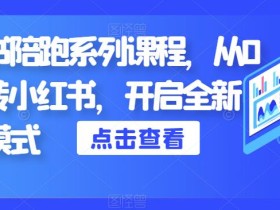 小红书陪跑系列课程,从0-1玩转小红书,开启全新赚钱模式