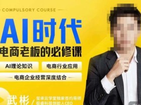 玺承·AI时代,电商老板的必修课,理论+实操+工具,驱动电商销售转化