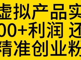 拼多多虚拟产品实操流程,月产5000+利润,还能引流精准创业粉【揭秘】
