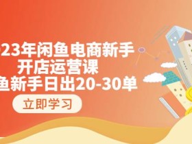 2023年闲鱼电商新手开店运营课:闲鱼新手日出20-30单(18节-实战干货)