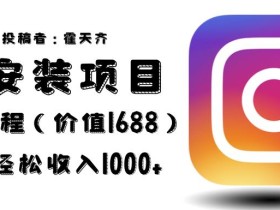 外面收费1688的蓝海ins安装项目2.0每天轻松收入1000+【揭秘】