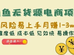 闲鱼无货源电商项目:无风险易上手月赚10000+难度低成本低见效快易操作【揭秘】