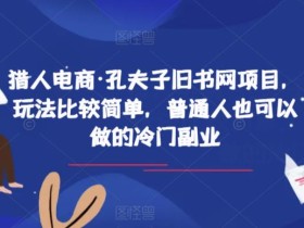猎人电商·孔夫子旧书网项目,玩法比较简单,普通人也可以做的冷门副业