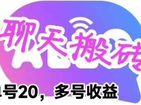 最新蓝海聊天平台手动搬砖,单号日入20,多号多撸,当天见效益