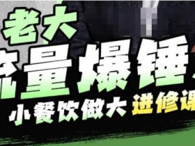 许老大流量爆锤法,小餐饮做大进修课,一年1000家店亲身案例大公开