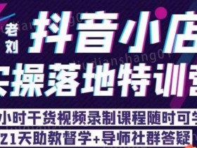 老刘·抖店商品卡流量,抖音小店实操落地特训营,8小时干货视频录制课程随时可学
