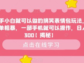 新手小白就可以做的搞笑表情包玩法,简单粗暴,一部手机就可以操作,日入300【揭秘】