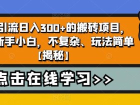 无需引流日入300+的搬砖项目,适合新手小白,不复杂、玩法简单【揭秘】