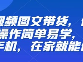 【推荐】短视频图文带货,低门槛,操作简单易学,一部手机,在家就能做