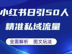 全面解析小红书图文引流日引50私域流量【揭秘】