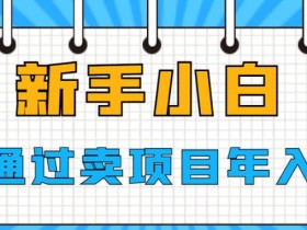新手小白如何通过卖项目年入50W【揭秘】