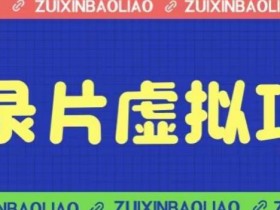 价值1280的蓝海纪录片虚拟项目,保姆级教学,轻松日入600+【揭秘】