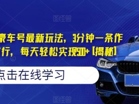 风口项目!豪车号最新玩法,3分钟一条作品,有手就行,每天轻松实现500+【揭秘】