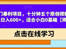 冷门暴利项目,十分钟五个原创视频,轻松日入600+,适合小白0基础【揭秘】