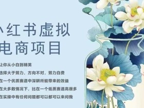 小红书虚拟电商从0到1,让你从小白到精英(20节实操课程)