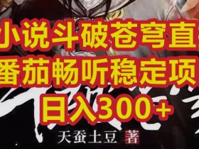 小说斗破苍穹直播,番茄畅听日入300+稳定项目【揭秘】