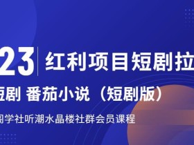 2023红利项目短剧拉新,听潮阁学社月入过万红果短剧番茄小说CPA拉新项目教程【揭秘】