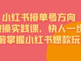 接单号方向·小红书微操实践课,快人一步,提前掌握小红书爆款玩法