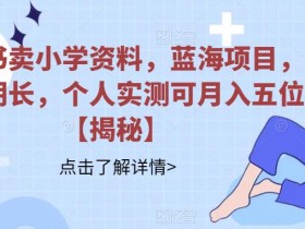 小红书卖小学资料,蓝海项目,红利期长,个人实测可月入五位【揭秘】