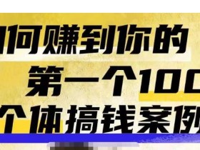 群响新个体钱搞案例库,可直以接抄作业的新体个搞钱案例库,如何赚到你的第一个100w
