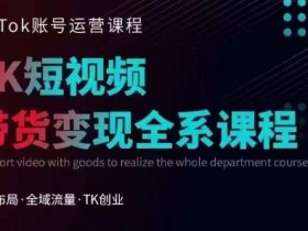 Tiktok运营线上训练营,引流爆单,急速涨粉,Tiktok短视频玩法大揭秘
