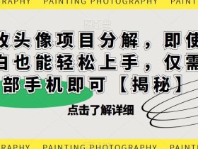 漫改头像项目分解,即使是小白也能轻松上手,仅需一部手机即可【揭秘】