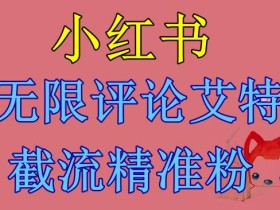 小红书无限评论艾特截流精准粉(软件+教程)
