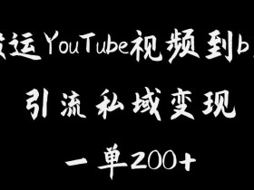 搬运YouTube视频到b站,引流私域一单利润200+,几乎0成本!【揭秘】