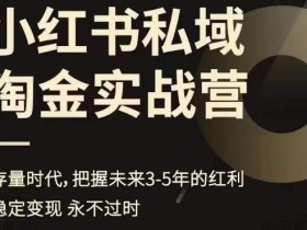 小红书私域淘金实战营,存量时代,把握未来3-5年的红利