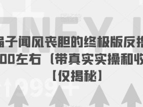 让马扁子闻风丧胆的终极版反撸教程,一次100左右(带真实实操和收益图)【仅揭秘】