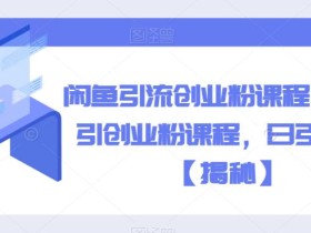 闲鱼引流创业粉课程,暴力引创业粉课程,日引50+【揭秘】