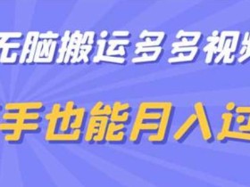 无脑搬运多多视频,新手也能月入过万【揭秘】