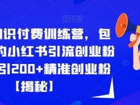 2023知识付费训练营,包含最新的小红书引流创业粉思路日引200+精准创业粉【揭秘】