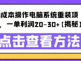 0成本操作电脑系统重装项目,一单利润20-30+【揭秘】