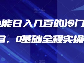 新手也能日入几百的冷门DIY项目,0基础全程实操【揭秘】