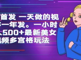 全网首发一天做的视频够一年发,一小时收入500+最新美女视频多宫格玩法