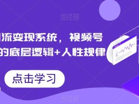 视频号引流变现系统,视频号引流变现的底层逻辑+人性规律