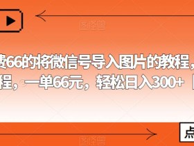 外面收费66的将微信号导入图片的教程,可自用或卖教程,一单66元,轻松日入300+【揭秘】