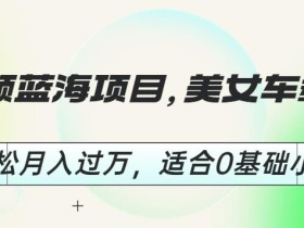 短视频蓝海项目,美女车载U盘,轻松月入过万,适合0基础小白【揭秘】
